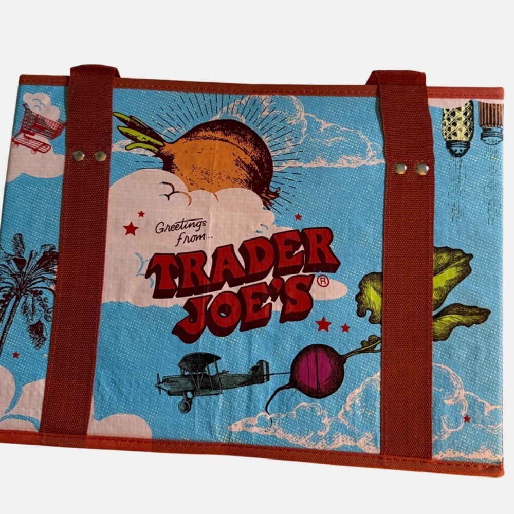 Trader Joe’s stand-Up Collapsible Reusable Hard Side Sturdy Grocery Bag